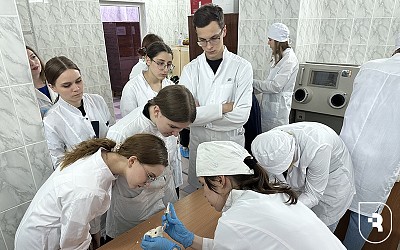 Эксперимент исследованию антидепрессивной и адаптогенной активности растительных экстрактов