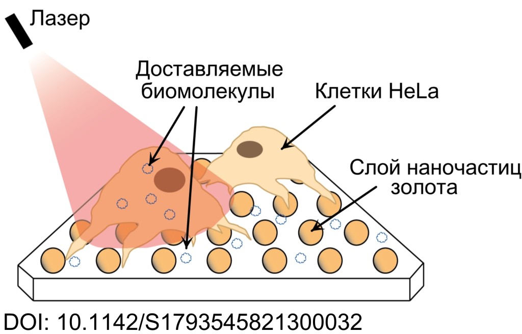 оптопорация.jpg оптопорация.jpg
