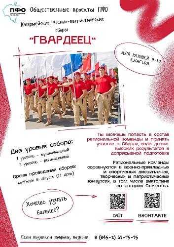 Общественные проекты ПФО: возможности для самореализации и развития